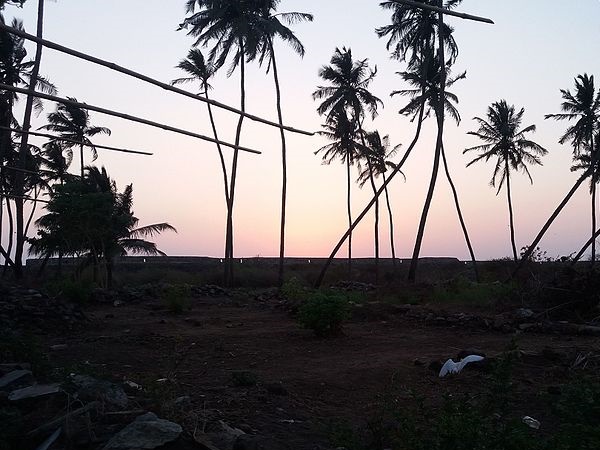 சப்போரா அழகிய புகைப்படங்கள்