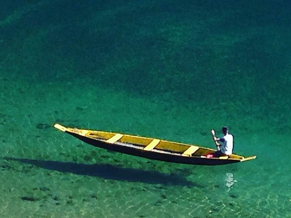 தவ்கியின் அழகிய 5 புகைப்படங்கள்