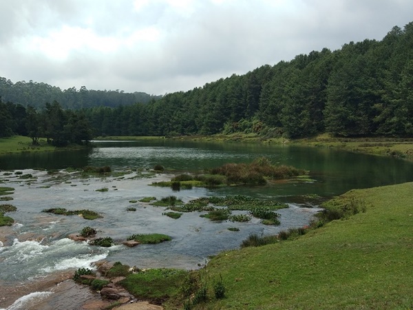 3 புளூ மவுண்டைன்