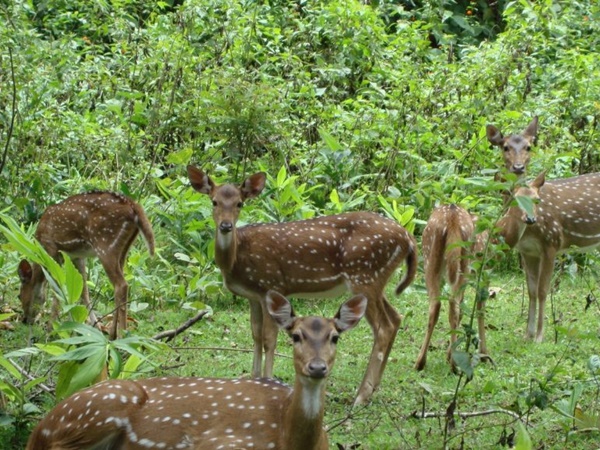 சுற்றுலா