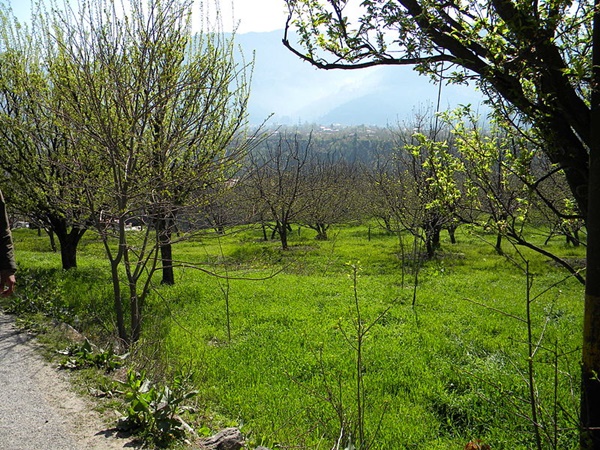  மணாலி, இமாச்சல பிரதேசம்