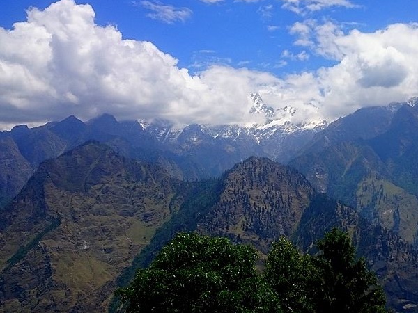  ஆலியின் அழகிய 5 புகைப்படங்கள்