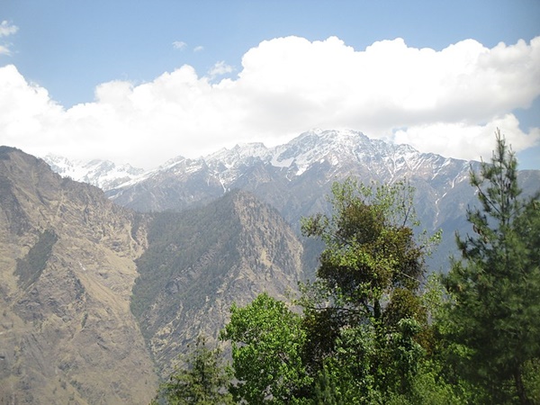  ஆலியின் அழகிய 5 புகைப்படங்கள்