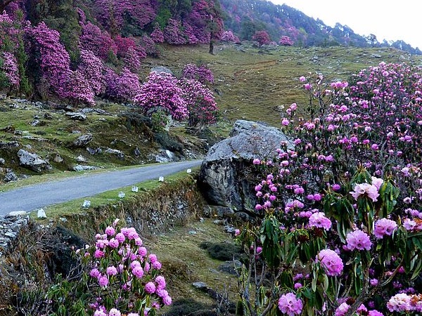  சோப்தாவின் அழகிய 5 புகைப்படங்கள்