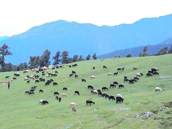  சோப்தாவின் அழகிய 5 புகைப்படங்கள்