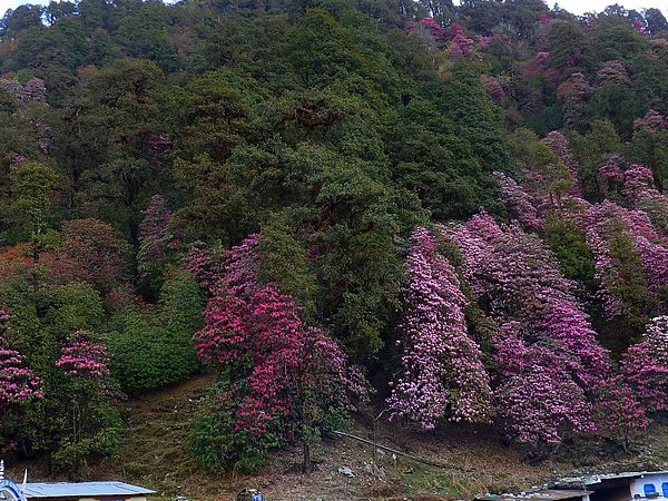  சோப்தாவின் அழகிய 5 புகைப்படங்கள்