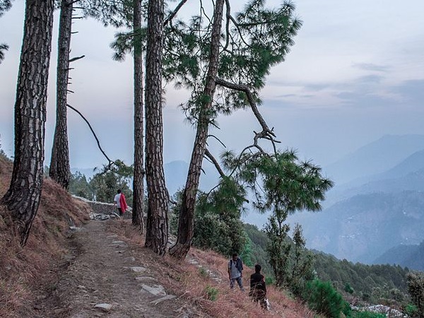  பின்சரின் அழகிய 5 புகைப்படங்கள்