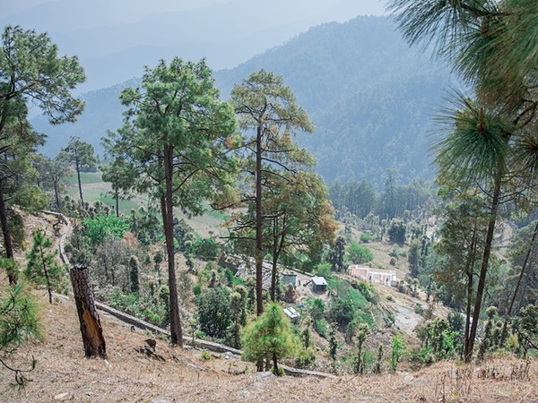  பின்சரின் அழகிய 5 புகைப்படங்கள்