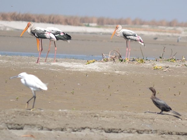 சுற்றுலாத்தளங்கள்