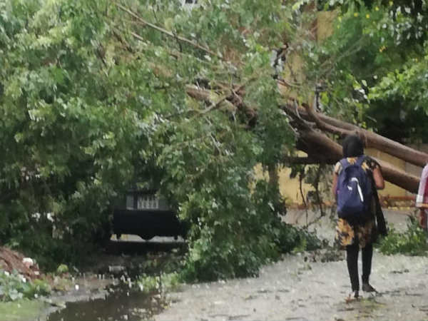  இன்றைய தினத்தில் மழை பெய்யும் இடங்கள்