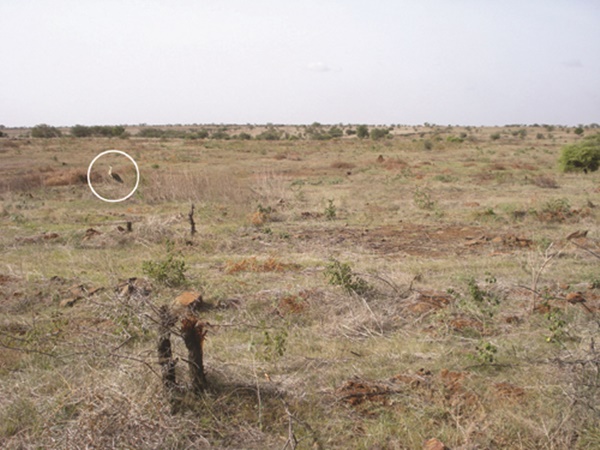  எப்போது செல்லலாம்