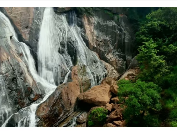 தட்டேக்காடு பறவைகள் சரணாலயம்