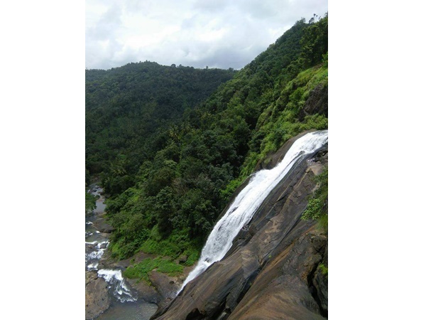  ஈட்டுத்தோப்பு