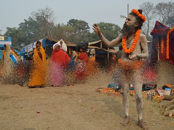 சாதுக்களைக் காண்போம் வாருங்கள் சாதுக்களைக் காண்போம் வாருங்கள்