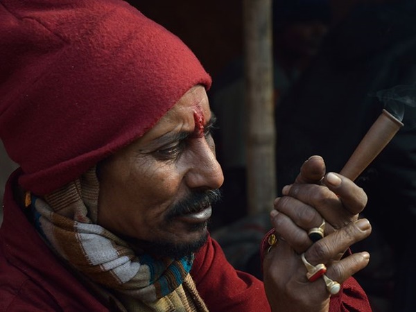 சாதுக்களைக் காண்போம் வாருங்கள் சாதுக்களைக் காண்போம் வாருங்கள்
