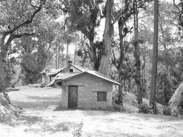 அழகிய ராணிகேத்