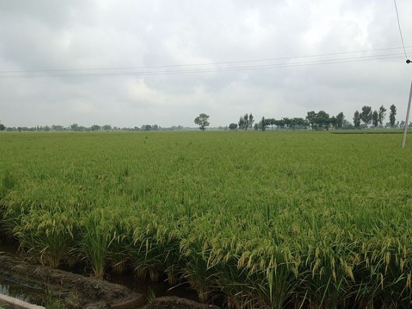  எப்படி அடைவது