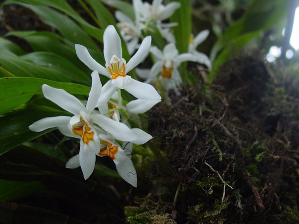 இயற்கை ஆர்வமுள்ளவர்களுக்காக