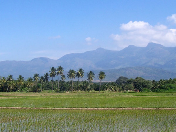  மாவூத்து