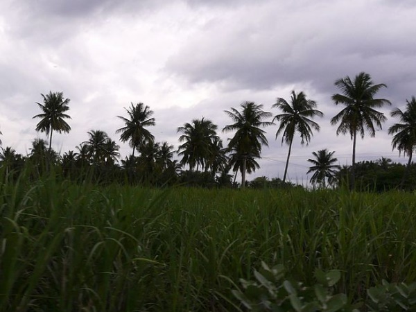 விலங்கியல் பூங்காவும் அறிவியல் அரங்கும்