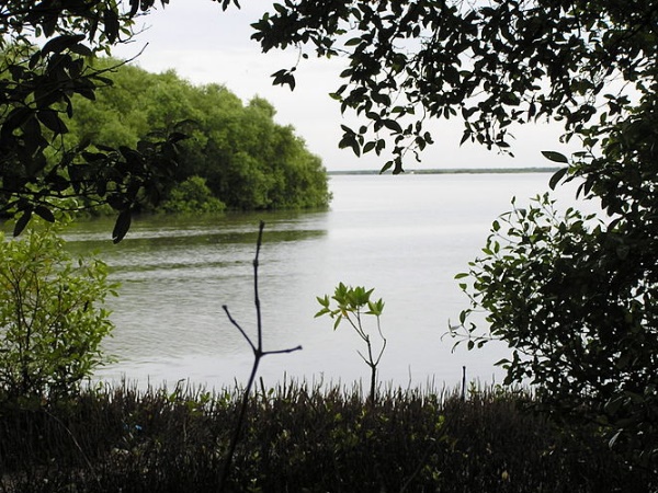 எங்குள்ளது