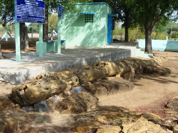 சாத்தனூர் கல்மரம்