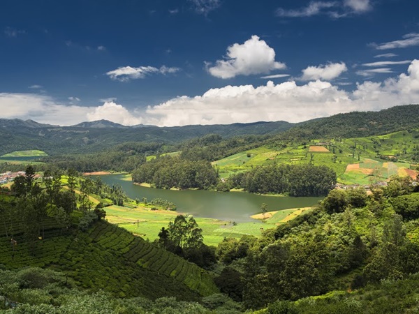 7 தோடர் குலம்