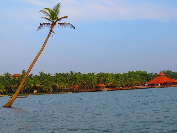 பூவார் :