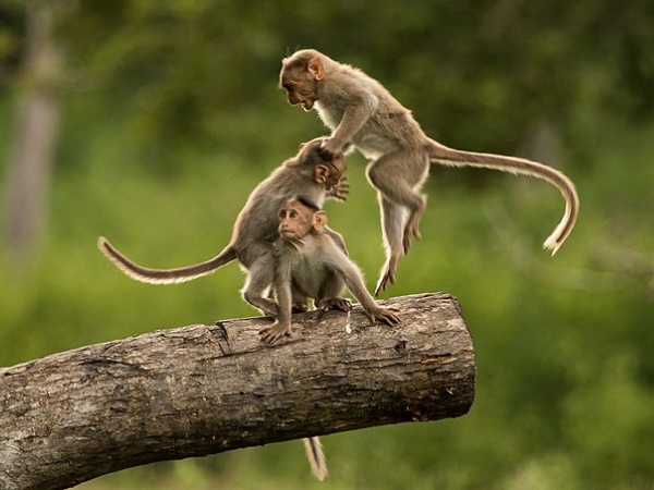 என்னெல்லாம் இருக்கு