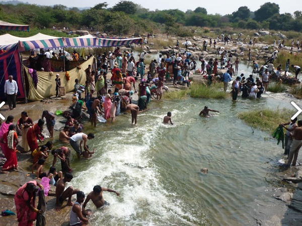 பசுமையான வழித்தடங்கள் பசுமையான வழித்தடங்கள்