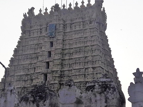 சங்கரநாராயணர் கோவில்