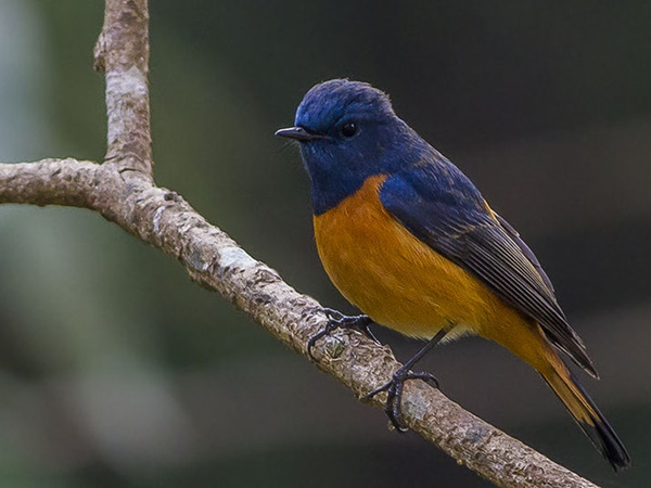 சுற்றுலா முக்கியத்துவம் வாய்ந்த இடங்கள் 