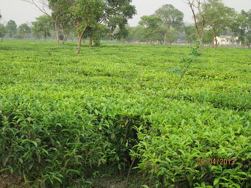 பக்தோரா பயண வழிகாட்டி - செய்யவேண்டியவை மற்றும் எப்படி செல்வது