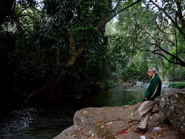 காட்டுயிர் அம்சங்களின் காட்சி