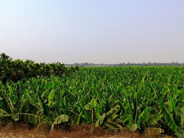 நூறு மடங்கு அதிகரித்த சொத்துக்கள்