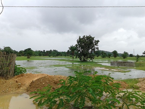 கிராமம்