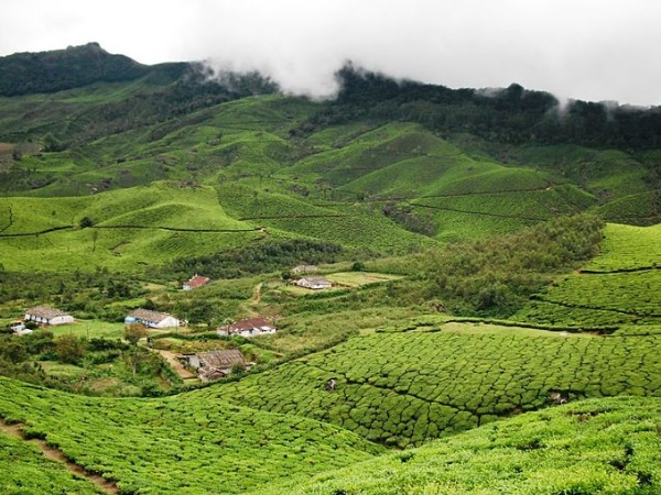 தேவிகுளம் - ஈர்க்கும் இடங்கள், எப்போது மற்றும் எப்படி செல்வது? தேவிகுளம் - ஈர்க்கும் இடங்கள், எப்போது மற்றும் எப்படி செல்வது?