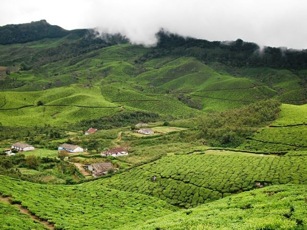 தேவிகுளம் - ஈர்க்கும் இடங்கள், எப்போது மற்றும் எப்படி செல்வது?