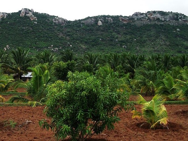 அருகாமை சுற்றுலாத் தளங்கள்