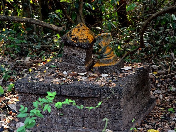 இதுதான் சிறந்த வழி