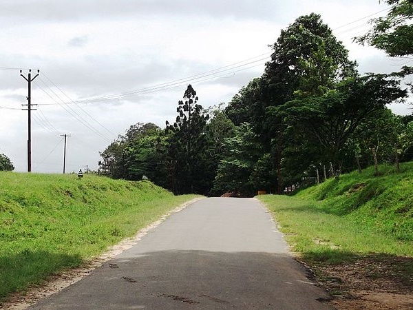 தென்னங்குழிகள்