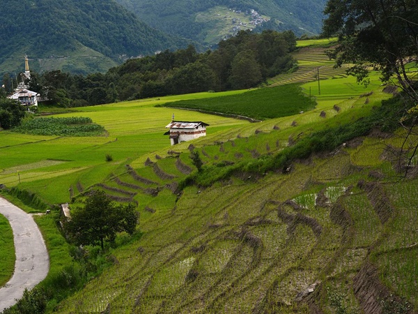ஜிரோ சுற்றுலா - ஈர்க்கும் இடங்கள், செய்யவேண்டியவை மற்றும் எப்படி அடைவது 