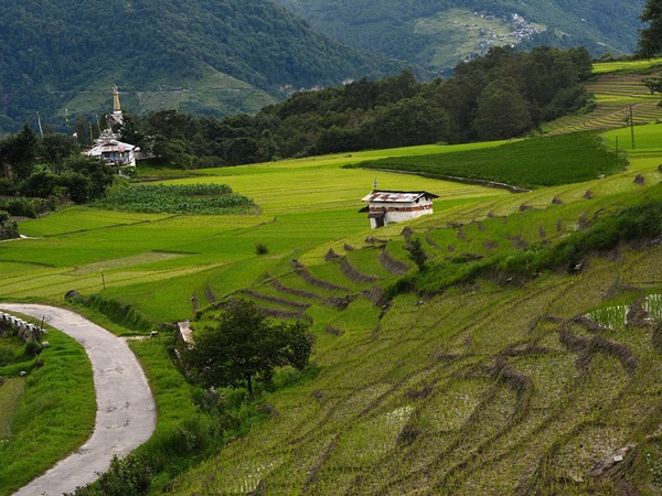 டால்லி பள்ளத்தாக்கு சுற்றுலா - ஈர்க்கும் இடங்கள், செய்யவேண்டியவை மற்றும் எப்படி அடைவது