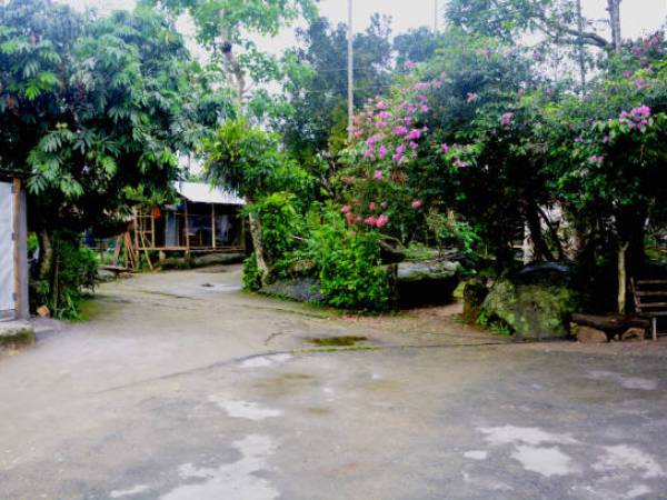 மவ்லின்னாங் கிராமம்