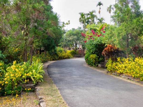 எப்போது மவ்லின்னாங்கிற்கு செல்ல வேண்டும்?