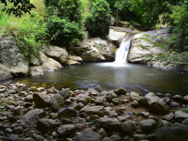 தேனி தேனி