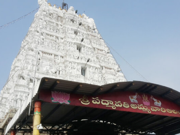 திருச்சானூரில் தாயார் தரிசனம் திருச்சானூரில் தாயார் தரிசனம்