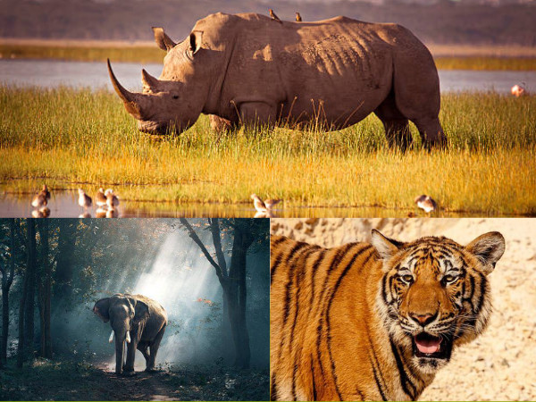 மேரி கர்சனால் துவங்கப்பட்ட பூங்கா மேரி கர்சனால் துவங்கப்பட்ட பூங்கா