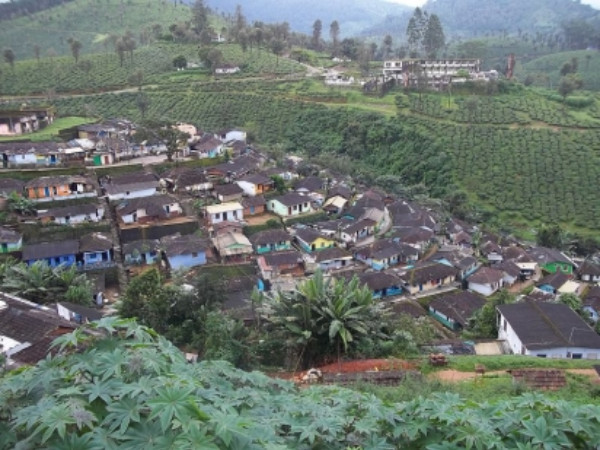 வால்பாறைக்கு எப்படி செல்வது?