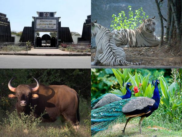 சென்னையில் உள்ள உயிரியல் பூங்காக்கள் சென்னையில் உள்ள உயிரியல் பூங்காக்கள்